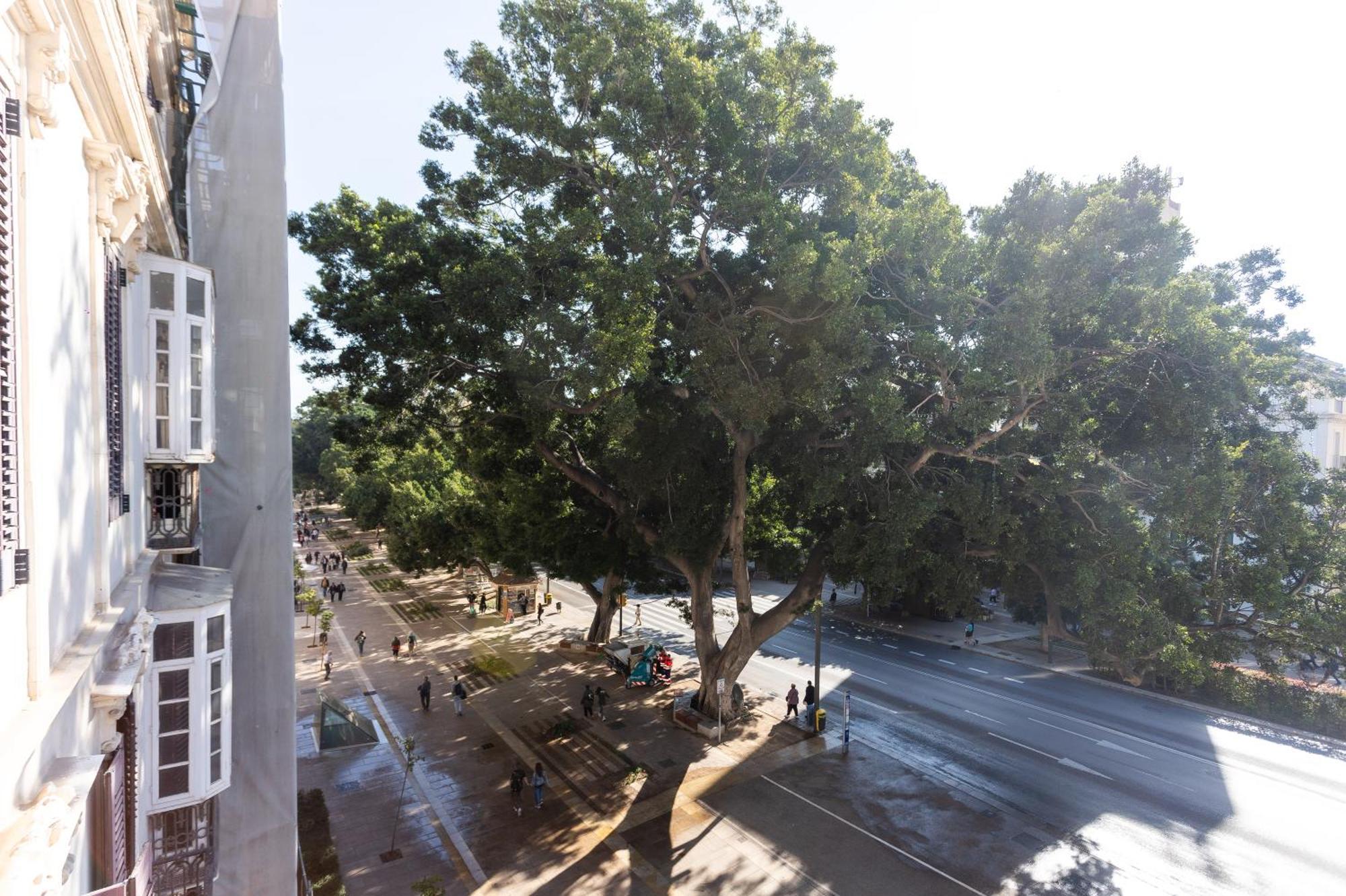 La Casa De La Alameda Daire Málaga Dış mekan fotoğraf